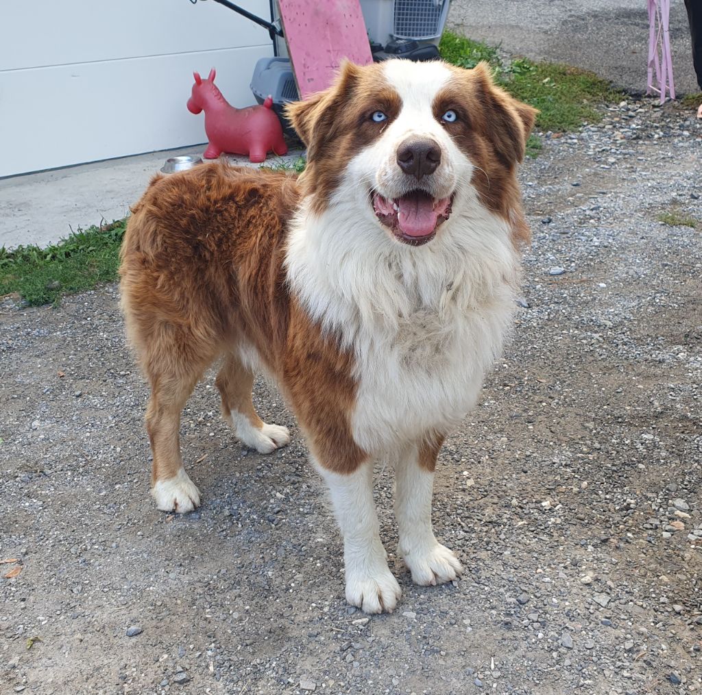 Ulir du Domaine de Demeter